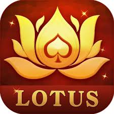 teen patti pundit apk download download